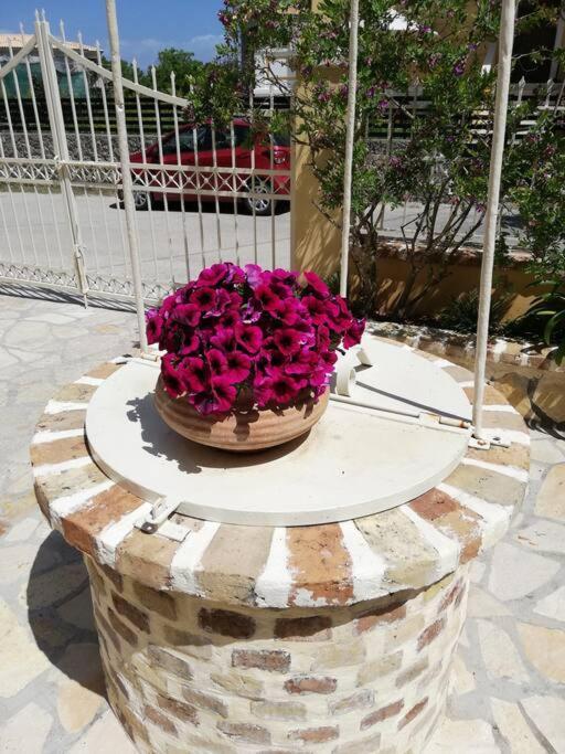 Sunny Stay Furnished Apartment In Kanoni Ngoại thất bức ảnh
